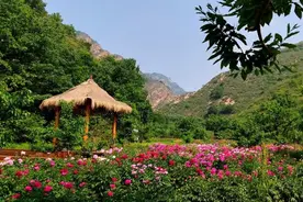 扩散 | 下周一，天津这些景区免费！图片