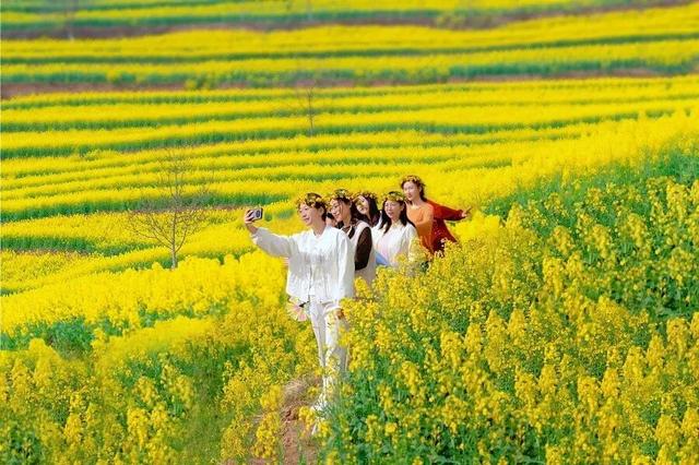 万亩花海迎宾客！第三届“诗韵大河·金色花海”农文旅推介暨促消费活动预告来啦～