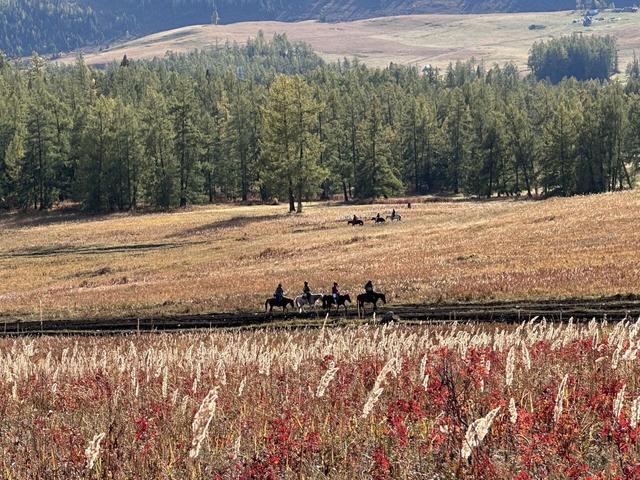 五彩斑斓喀纳斯