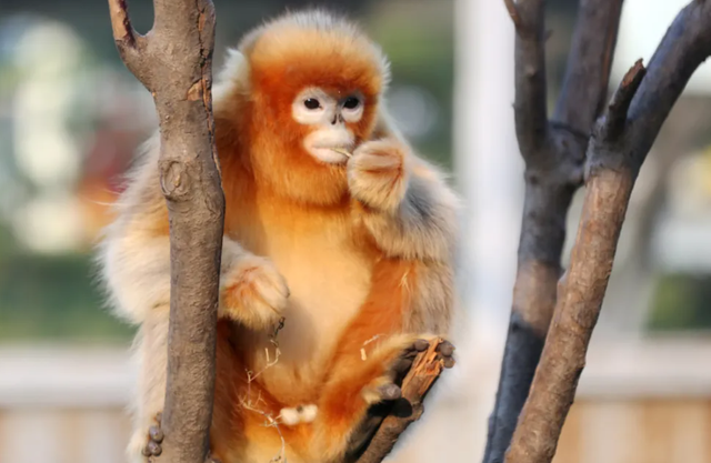 临沂人游临沂 | 一大波景区优惠福利来了