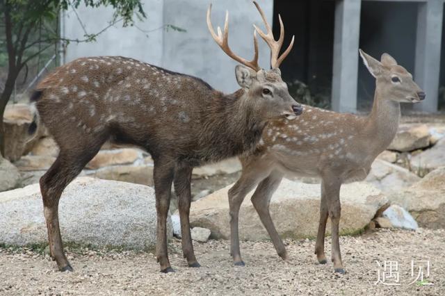 遇见丨山海之间,栖一处文化桃源