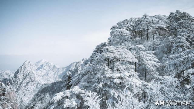 黄山“五绝”之一的冬雪,只有50天观赏期。