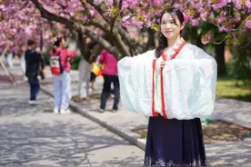 【组图】中科大樱花烂漫 赏花人络绎不绝图片