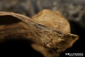 如何区分真假沉香？盘点品香师不外传的沉香选购技巧图片