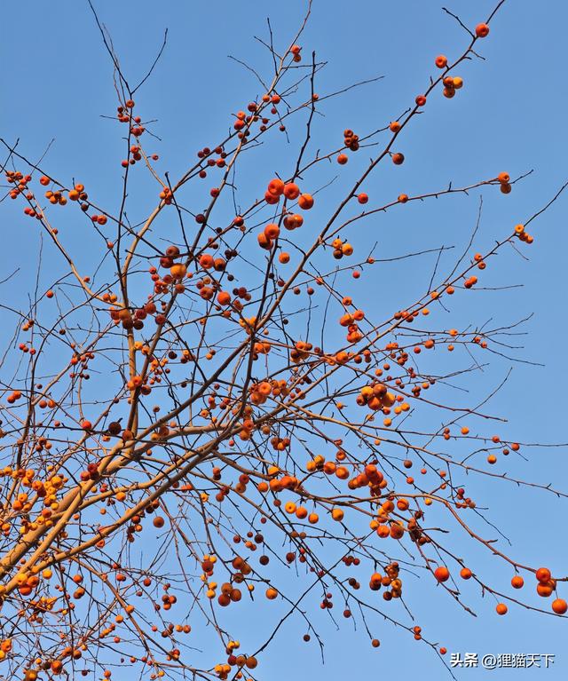 乌市鲤鱼山公园，从西门进去绕一大圈得有一小时，经过观景亭