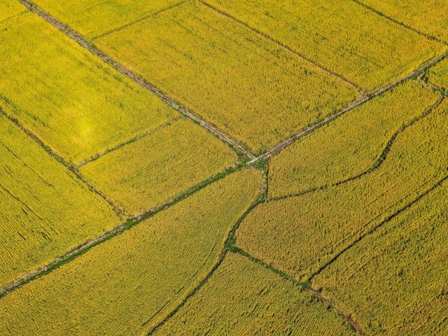 十二月，遇见预想不到的美景