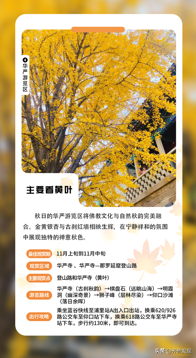 乘着地铁逛青岛丨神清宫350岁古树红了， 坐地铁去“打卡”特方便