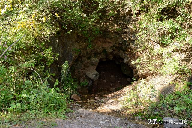 延庆应梦寺（五）：山巅极目收千嶂，林海听风涤尘心