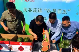 京东买菜首发庞各庄头茬西瓜 颗颗手挑新鲜直达图片