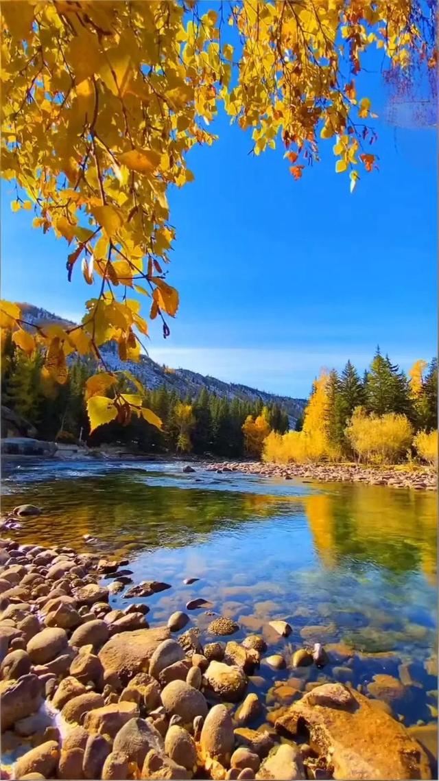 秋日邂逅，开启浪漫诗意之旅