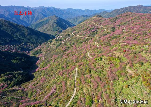 三角地带，高彦岭村，避世而远离