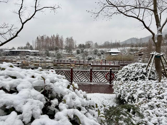 瑞雪飘然而至中国海滨城市青岛