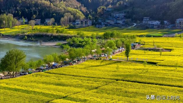 “嘉陵江第一湾”的春天：来宁强燕子砭，看千亩油菜花海