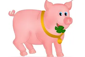 生肖猪的晚年，特别是1971年53岁的，老一辈说的话不会错的！图片