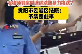 闹大了！知名刑辩女律师控诉法警，法庭上暴力执法抢手机打人图片