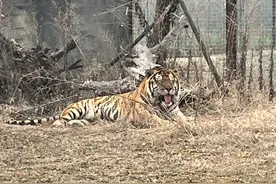 关注了再取关，影响到底有多大？图片