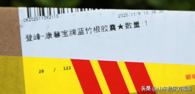 携老伴虹桥花园赏菊（上）