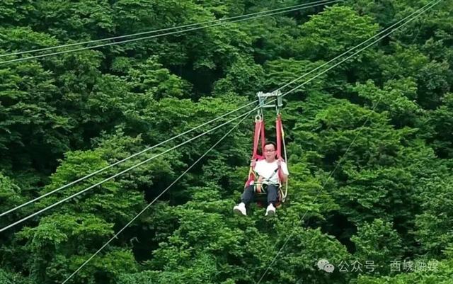 就在明天！2026西峡花朝季即将启幕！老君洞这场春日盛宴邀您共赴！