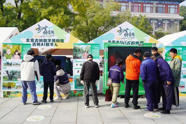 古树年轮里的故事，石景山等您来赴约