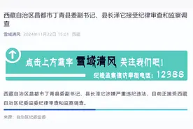 西藏自治区昌都市丁青县委副书记、县长泽它接受审查调查图片