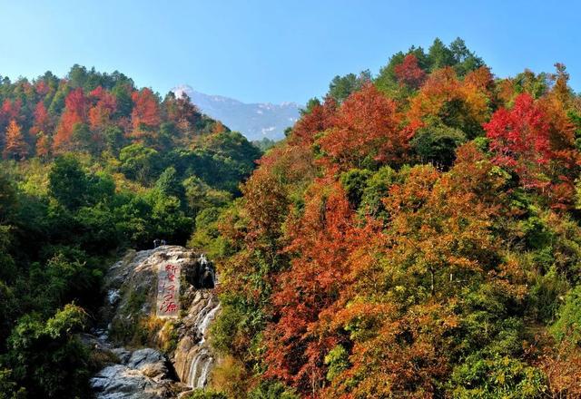 沉浸式感受韶关新丰绝美秋色！ 2天1夜赏枫露营品美食，徒步泡温泉，一起去躺平 ！