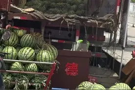 价格大跳水？批发价已逼近1元/斤，正大量上市图片