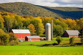 农村家庭农场创业全攻略：从注册到补贴申请，一文讲透！图片