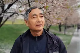 《龙腾瑞气 燕舞春风》——吴木荣书法作品欣赏图片