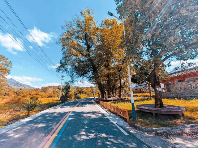 骑行赏枫、古村寻秋……被祁门的「枫景」治愈啦！| 皖美秋日