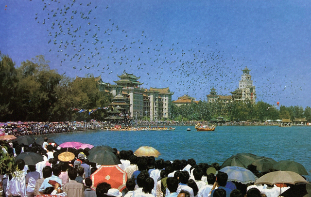 很惊艳：八十年代的厦门感觉整个城市都是公园啊