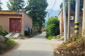 一条流浪狗与华州柳枝王陈人的奇缘图片