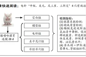 电针调控少弱精子症模型大鼠“下丘脑-垂体-睾丸轴”的作用机制图片