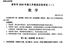 贵州省贵阳市2025届高三适应性考试（一）数学试题及答案图片