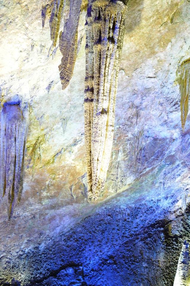 被严重低估的贵州毕节：这100多平方公里的杜鹃，不看真的会后悔