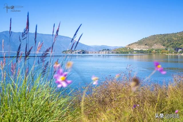 秋风渐起天气转凉，没事千万别来洱海边瞎逛，因为会被美哭的