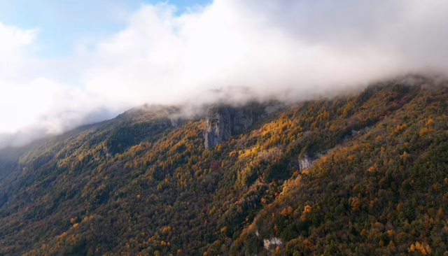 赏秋正当时！自驾来汉中，赴一场秋日视觉盛宴~