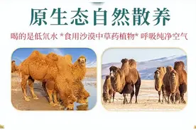 解读纯奶粉价格，不要买贵了图片