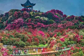 始于麻城，终亦麻城！图片