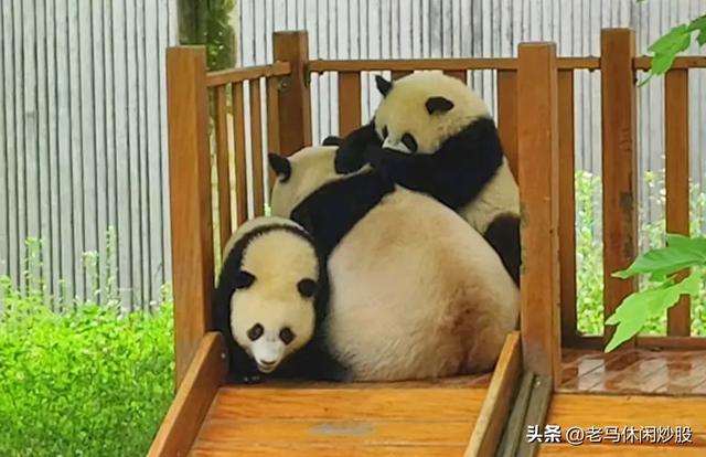 我带着相机，在耿达避暑