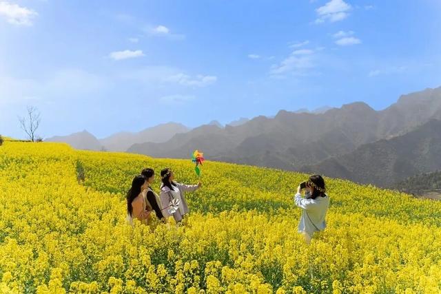 万亩花海迎宾客！第三届“诗韵大河·金色花海”农文旅推介暨促消费活动预告来啦～