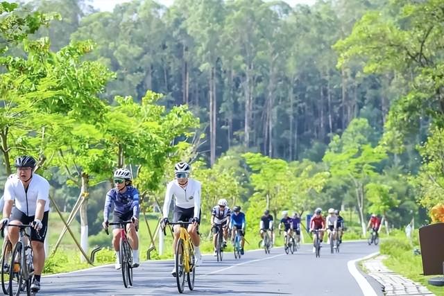 从“五一”成绩单，看广东县域农文旅融合的“百千万”路径