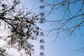 思念无期—写在老公去世50天图片