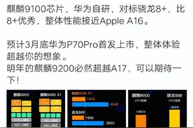 麒麟9100：华为之光，科技之巅图片