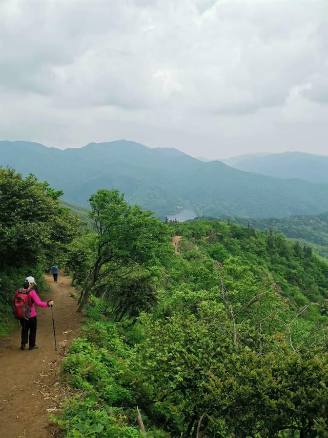 南昌梅岭封神！藏在市区的“小庐山”，40分钟直达的春日宝藏地