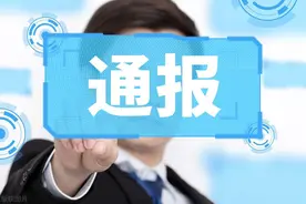 搞两面派，插手干预执纪执法，利用纪检监察权插手经济活动，云南省委巡视组原副厅级巡视专员张萍被查图片