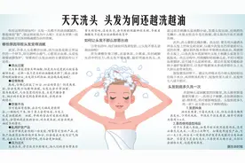 天天洗头 头发为何还越洗越油图片