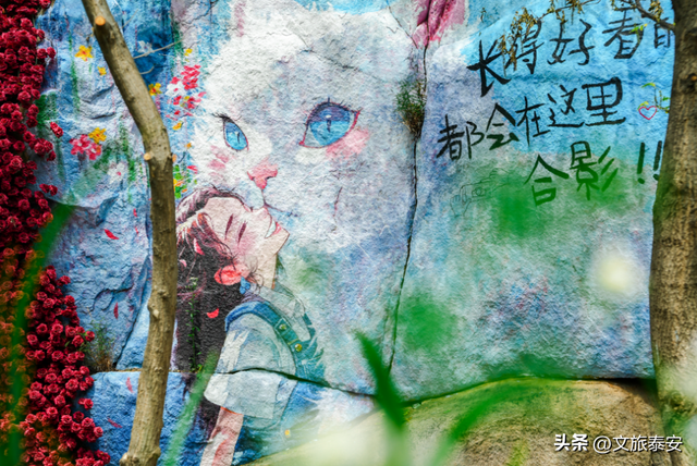 云中漫步、 彩虹滑道、飞拉达攀登……九女峰8大亮点爽完整个假期！