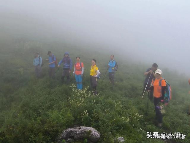 再登辽阳千米高峰白云山，云雾弥漫，金莲花盛开