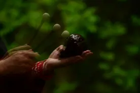 释迦牟尼佛到底悟到什么?图片