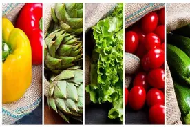 12个月应季蔬菜大全图片